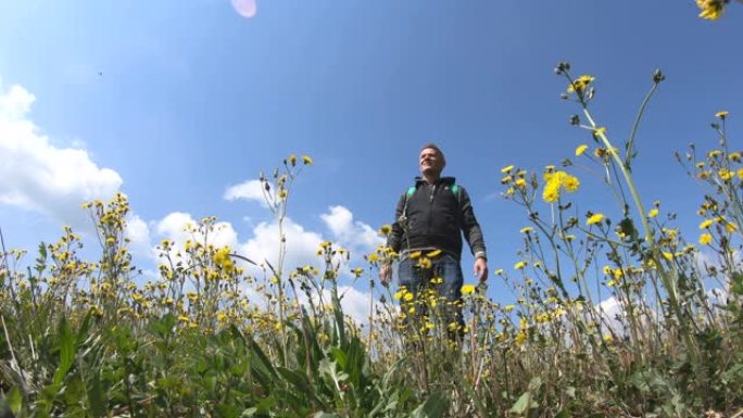 成年男子徒步旅行者在春天美丽的花草地徒步旅行。录像。