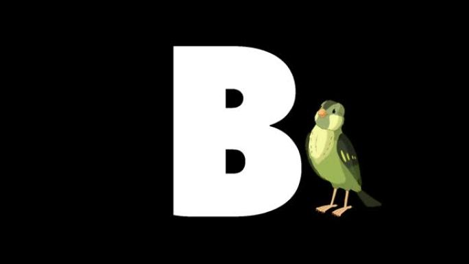 字母B和前景上的鸟