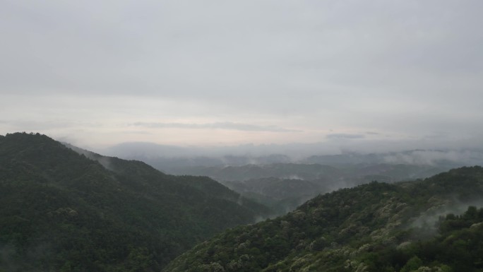 云雾缭绕 人间仙境 雨后风景万里河山