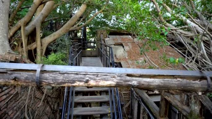 大自然开垦的17世纪废弃仓库-台湾台南安平树屋