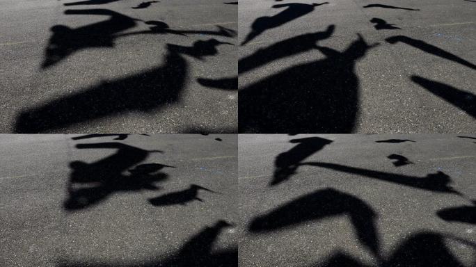 东京住田市东白higashi shirahige公园的鲤鱼形飘带的影子