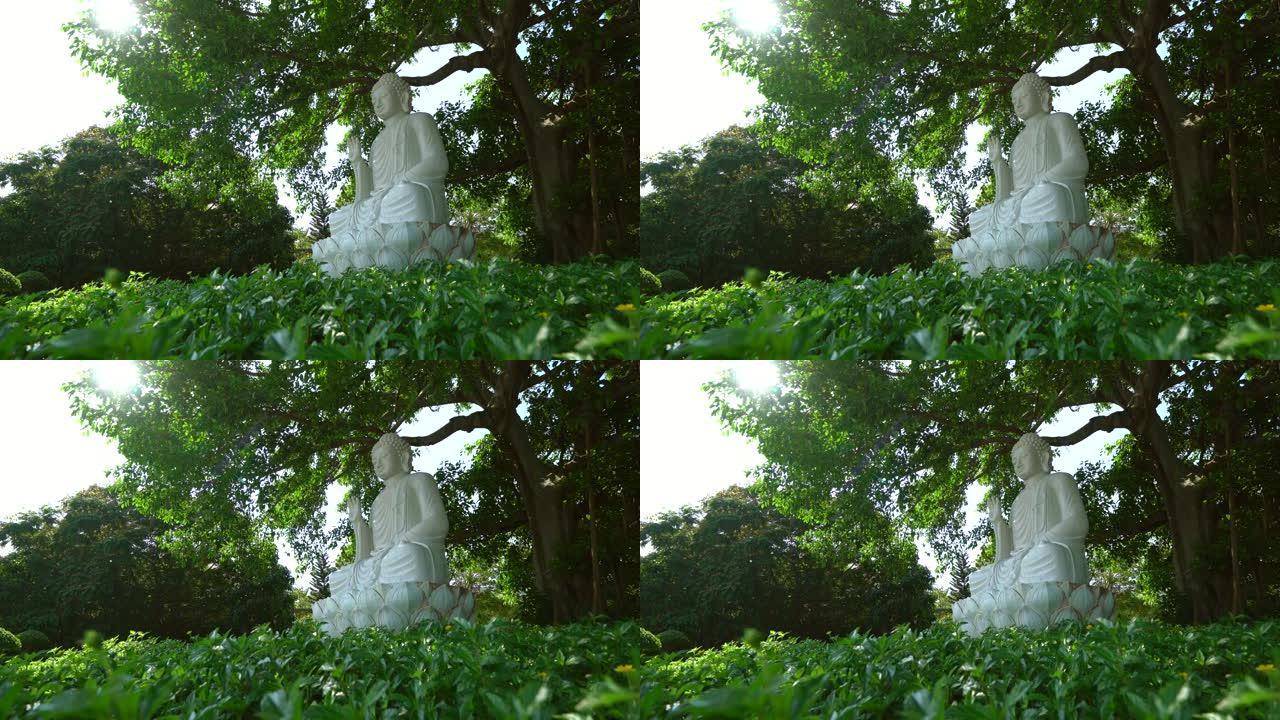榕树下的大理石佛像