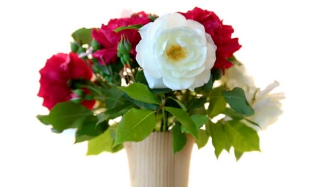 一束美丽的红玫瑰在白色