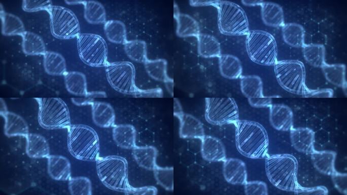 蓝色高科技DNA动画医疗医学基因细胞视频