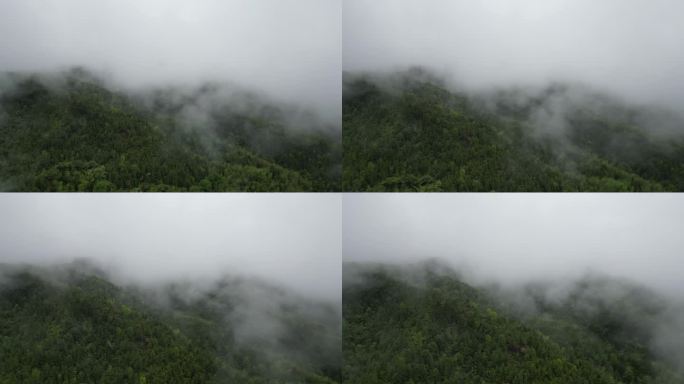 深山云雾缭绕   雨中航拍俯瞰大地山脉