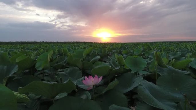 伏尔加河-鸟瞰图