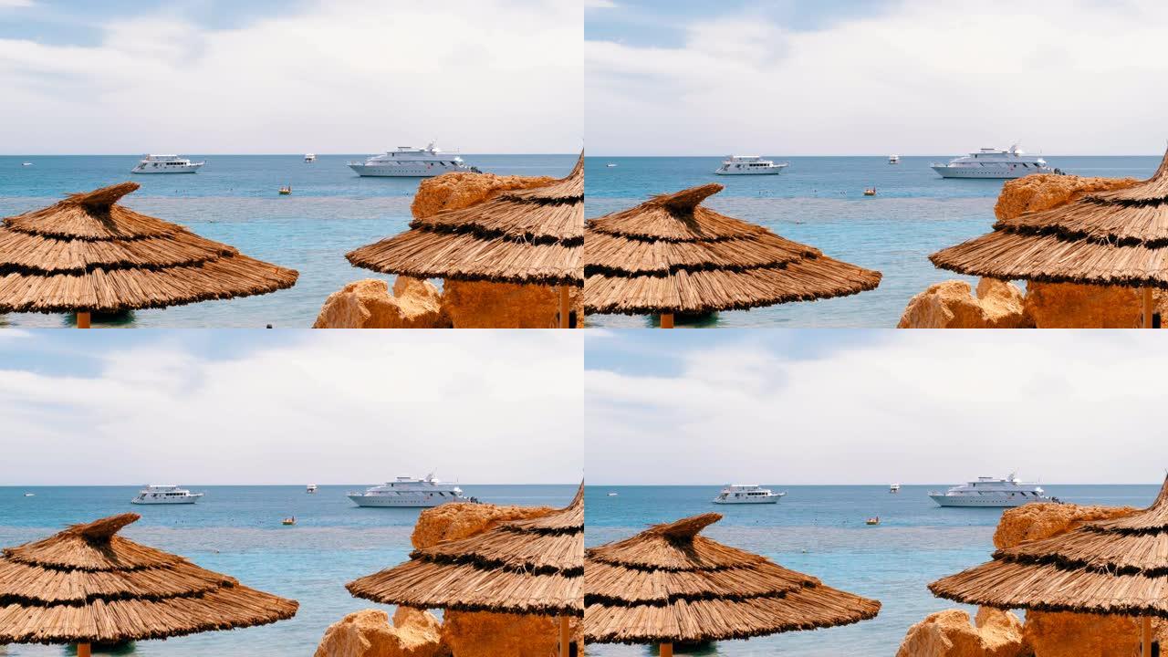 珊瑚礁附近红海上有太阳伞的热带海滩。埃及