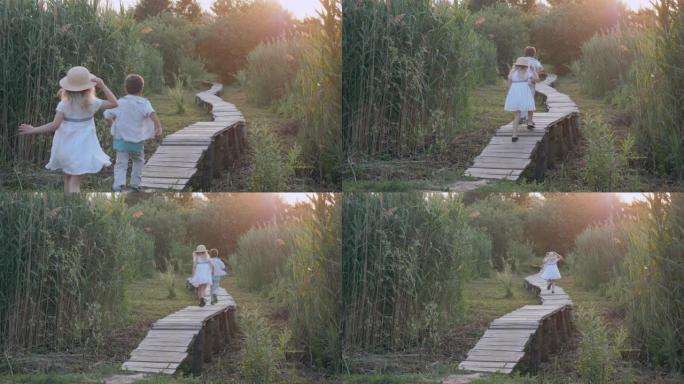 儿童游戏，快乐的小男孩和女孩在绿色的芦苇丛中追赶并在木桥上奔跑