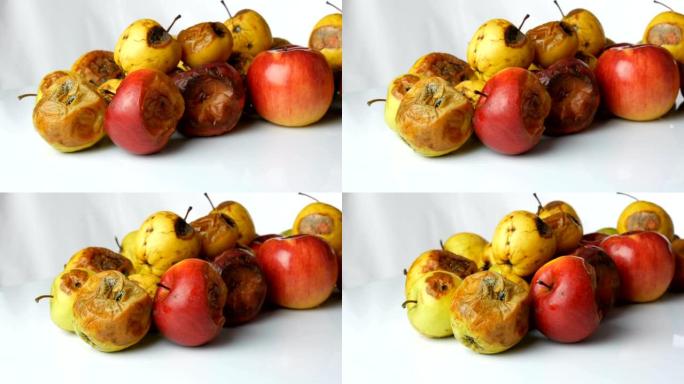 五彩腐烂变质的成熟苹果