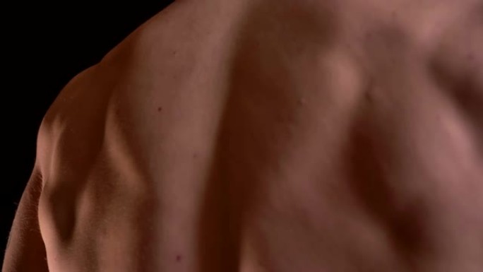 多莉从下到上拍摄的男性肌肉背部的黑色背景。