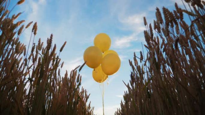 麦田里的黄色氦气球