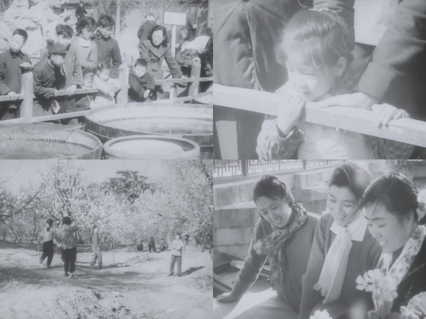 60年代 颐和园