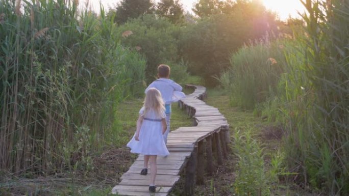 户外娱乐，活跃的小朋友女孩和男孩在绿色芦苇中玩耍追赶并在自然的木桥上奔跑