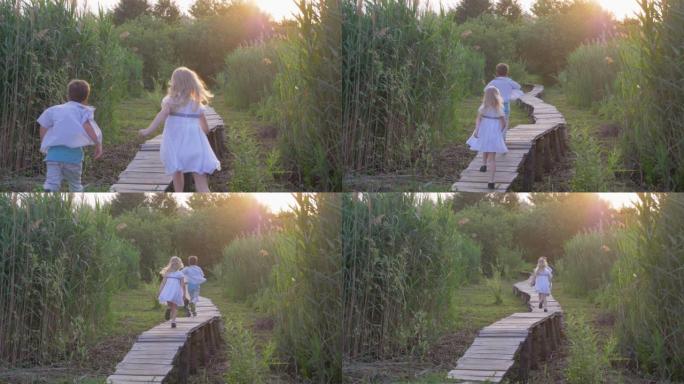 户外娱乐，活跃的小朋友女孩和男孩在绿色芦苇中玩耍追赶并在自然的木桥上奔跑