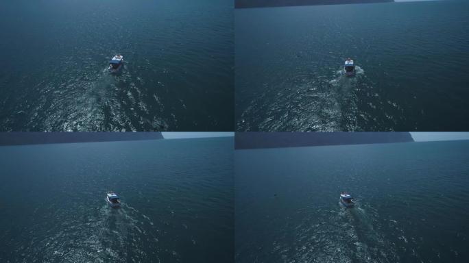 空中: 一群海豚在船旁边跳出水面。海豚在船前游泳。海豚追逐鱼。海边的暑假。