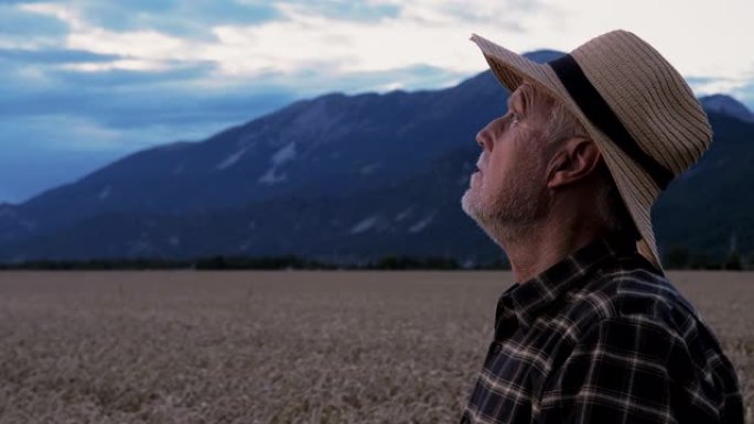 一位戴着帽子的老人站在麦田里仰望天空的肖像。