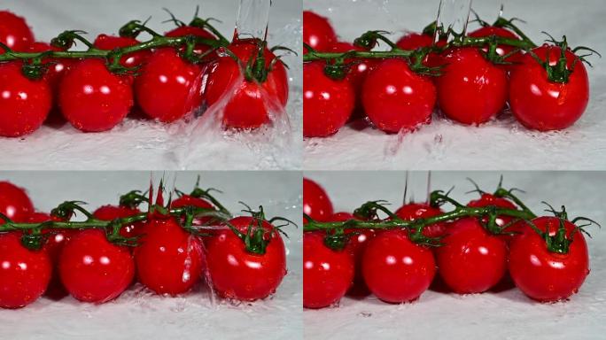 用水洗一束红色的樱桃番茄