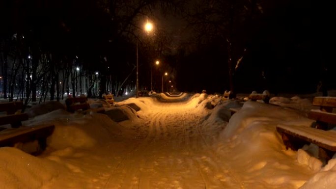 冬天晚上，城市公园里降雪。