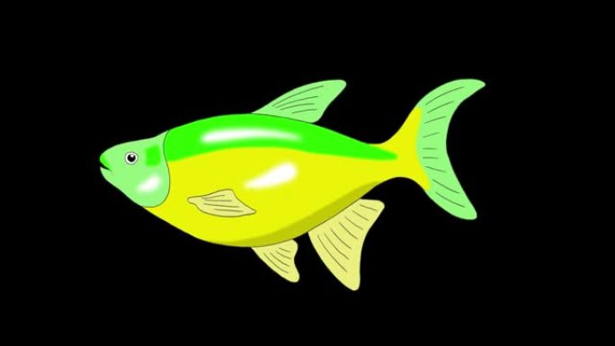 青黄色水族馆鱼阿尔法哑光环形