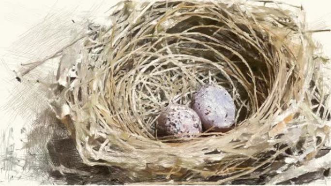 在鸟巢上绘制鸡蛋的颜色