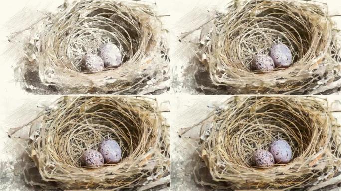 在鸟巢上绘制鸡蛋的颜色