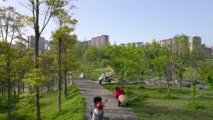 城市公园绿化环境