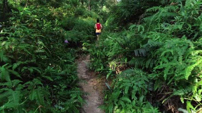 在热带雨林中奔跑的女子超级马拉松运动员