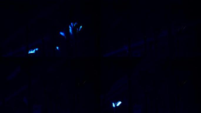 夜晚，光线沿着棕榈树的轮廓移动。户外夜间迪斯科