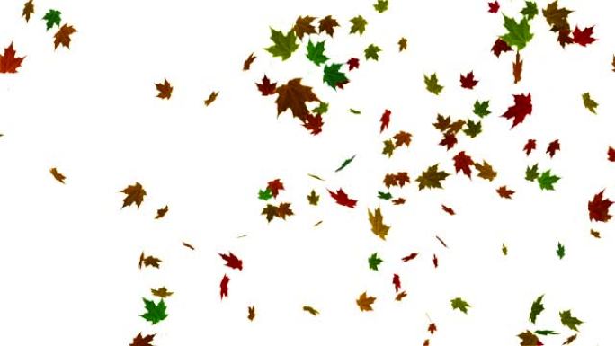 落叶背景动画。