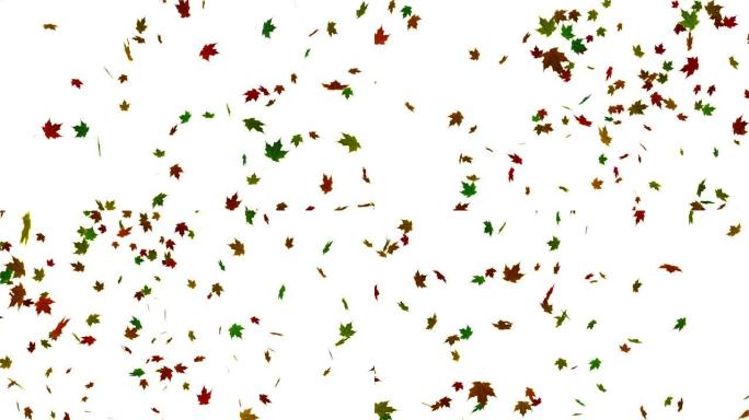 落叶背景动画。