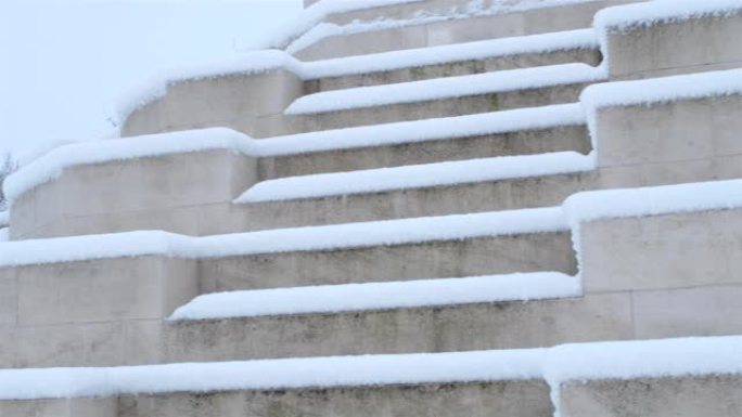 第一次世界大战在比利时:雪在泰恩科特墓地