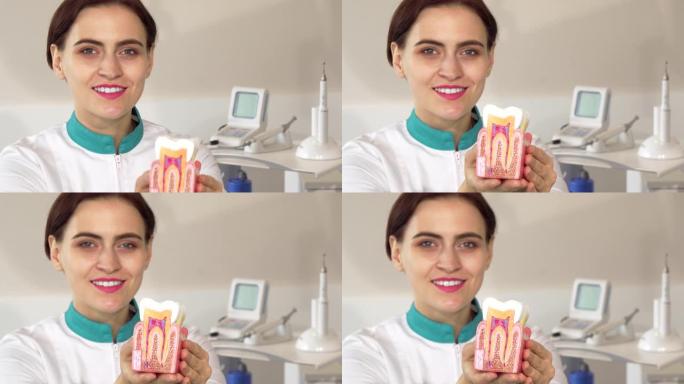 开朗的女牙医向镜头伸出健康的牙齿模型