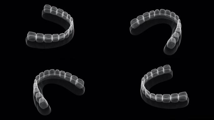 低人体牙齿环的全息屏幕3d