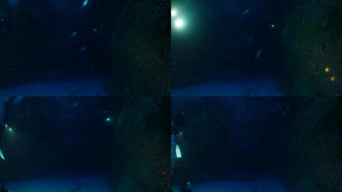 狗牙金枪鱼学校在黑暗的海底洞穴游泳