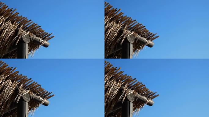 热带椰树叶亭屋顶在风中飘扬，4k分辨率。