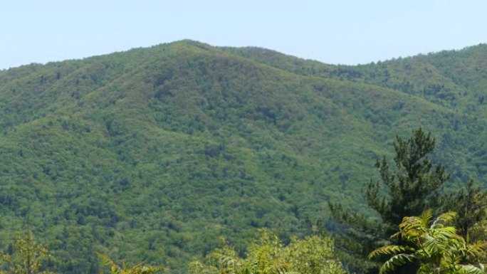 佐治亚州，Fort Mountain，在前往Fort mountain的途中从俯瞰处的一座山上缩小