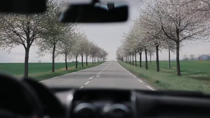 开车沿着道路走，两边都是盛开的树木。乡村道路