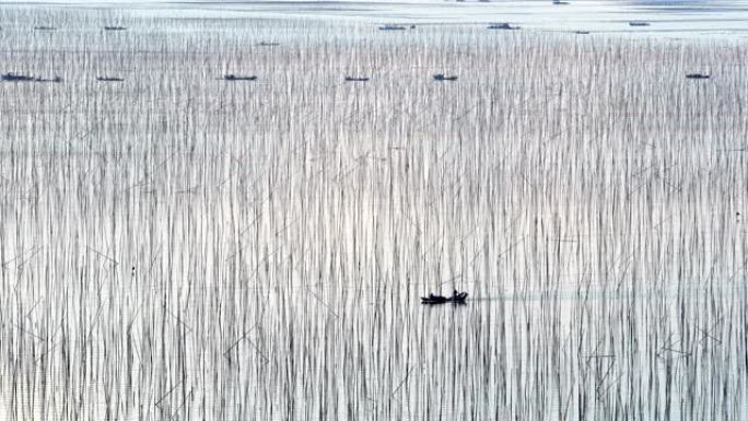 中国福建霞浦日落时的海上农场