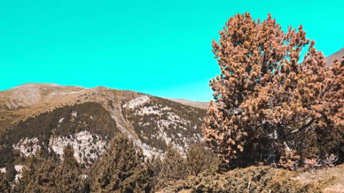 高山，西班牙比利牛斯山脉的Vall de Nuria山谷。蓝绿色和橙色景观