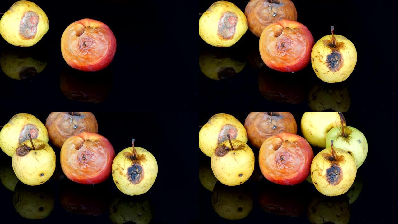 五彩腐烂变质的成熟苹果