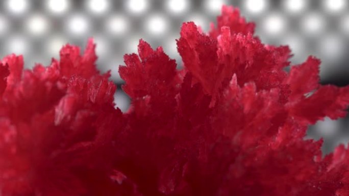 二极管照明背景上美丽的红色晶体。晶体缓慢旋转并闪烁。实验