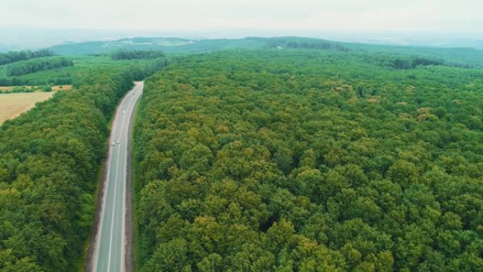 汽车在绿地之间的道路上行驶的鸟瞰图。4k从树林到公路和田野的无缝过渡。