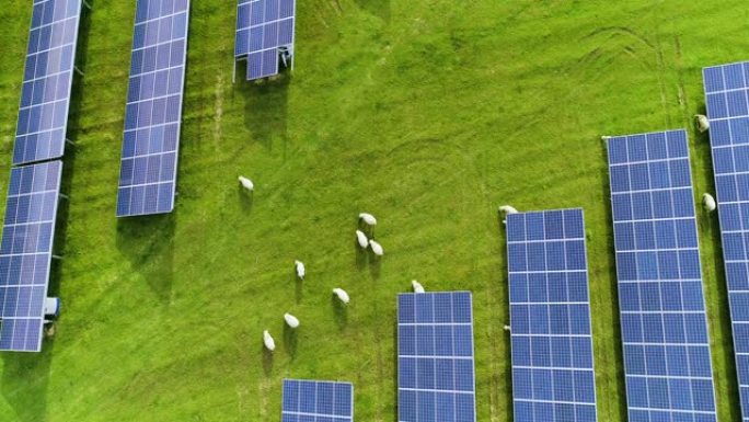 法国在阳光下与绵羊成排的蓝色太阳能电池板的鸟瞰图-环境保护，气候变化，阳光，草地，光的反射，保护，电
