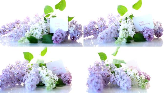 春天盛开的淡紫色花束孤立在白色上