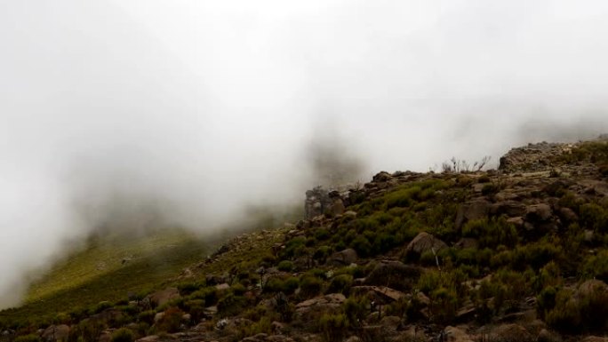 薄雾云雾笼罩的巴莱山景观