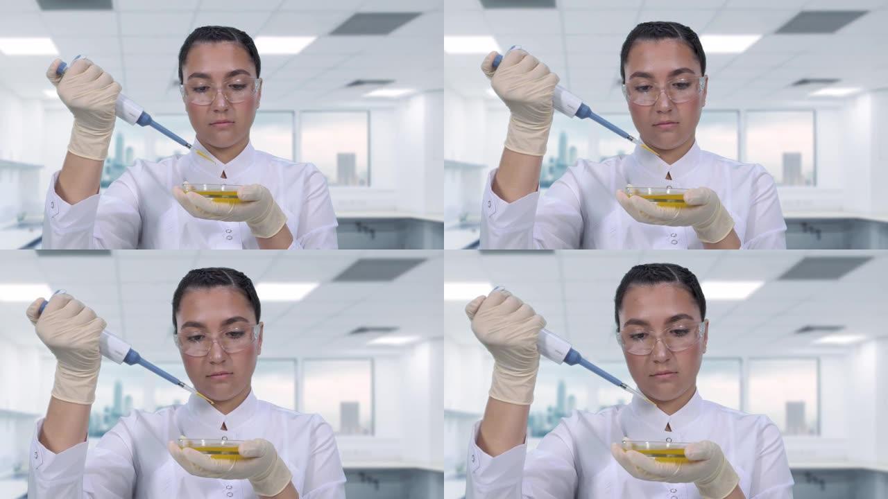 一位女科学家使用微量移液管和培养皿检查黄色液体。进行临床试验的女研究员。特写