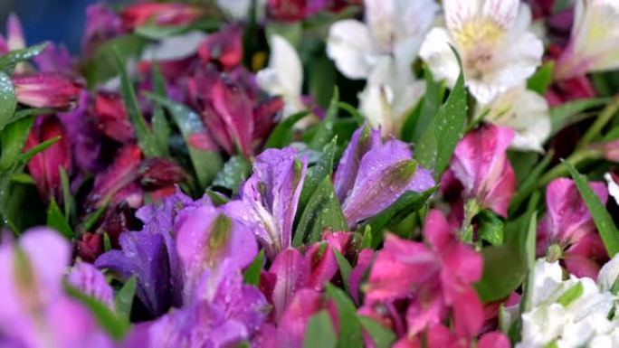 在花店的不同鲜花上喷水，以便长期保存。