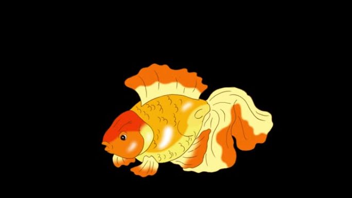 漂浮在水族馆阿尔法哑光中的金鱼