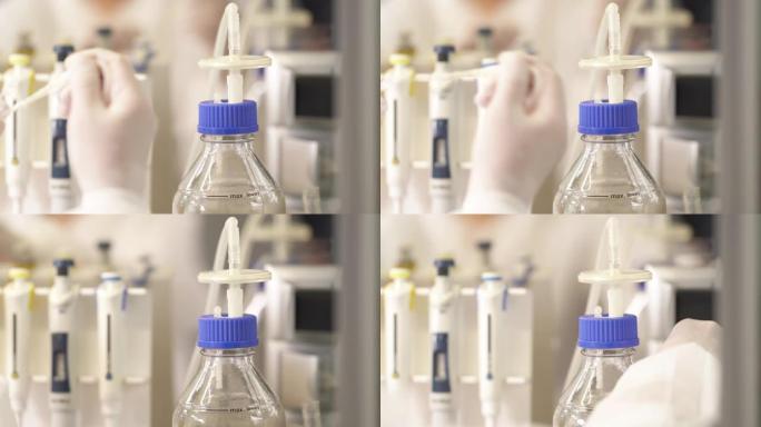 实验室科学家进行微生物试验的演示视频。科学研究的概念。选择聚焦镜头