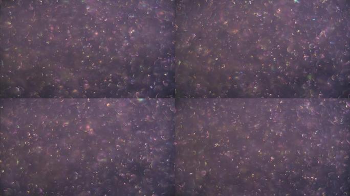 透明气泡混沌运动的抽象紫罗兰色背景。球旋转，抽象分子布朗运动。
